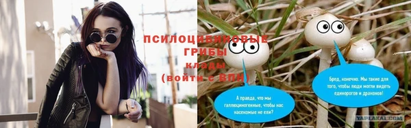 синтетический гашиш Алексин