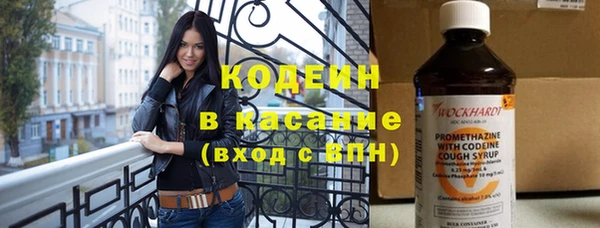 дмт Каменка